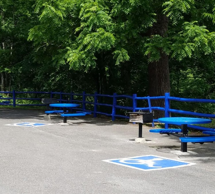 Special Peoples Park - Designated wheelchair accessible picnic area and fishing pier (Townsend,&nbspTN)